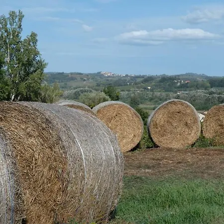 Heart Of Tuscany - Experience